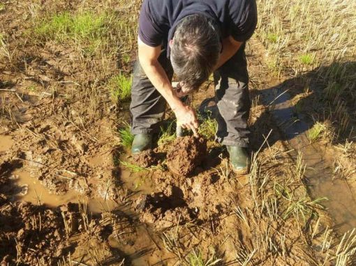 Soils and Natural Flood Management