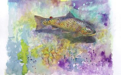 Arundell Art Week raises funds for the Westcountry Rivers Trust