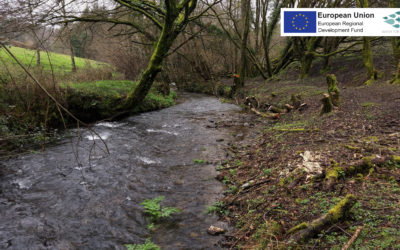 Water For Growth: Habitat Work