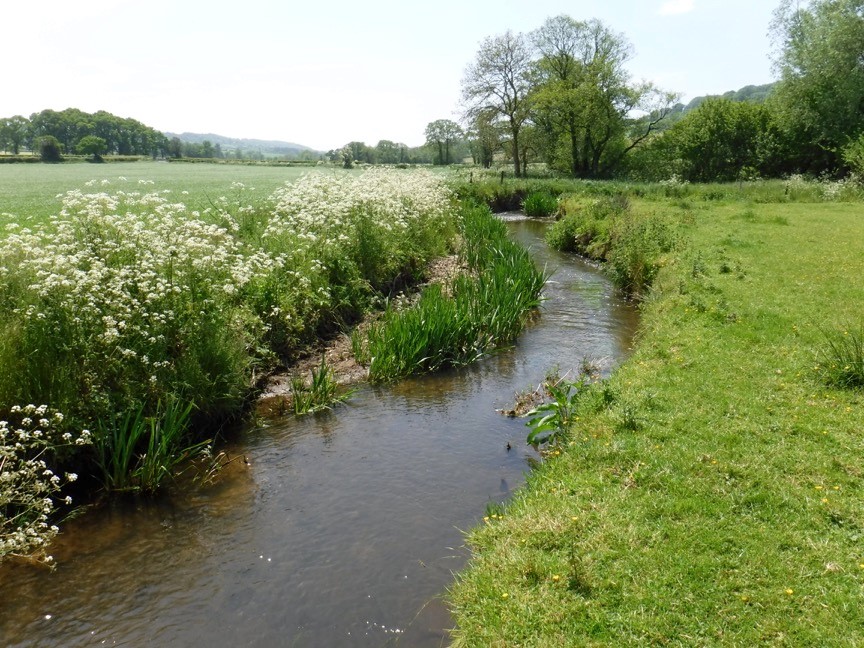 More than £18,500 saved through Soil Mineral Nitrogen tests