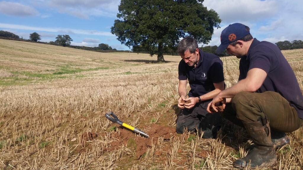 checking soil health