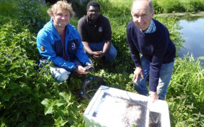 Fishermen and conservation groups in Somerset get together to help elvers migrate up river