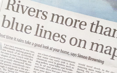 Next time it rains…