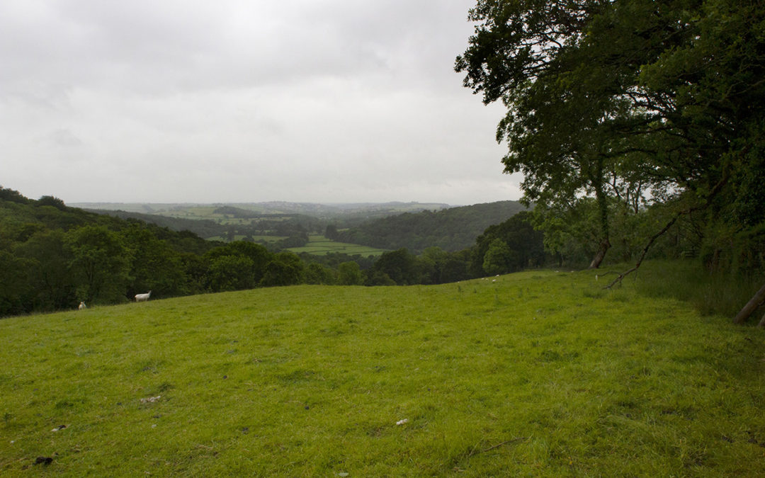 Devon & Cornwall Soil Alliance