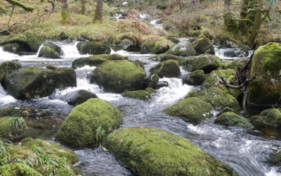 Exmoor & Dartmoor National Parks’ rivers polluted by pharmaceuticals