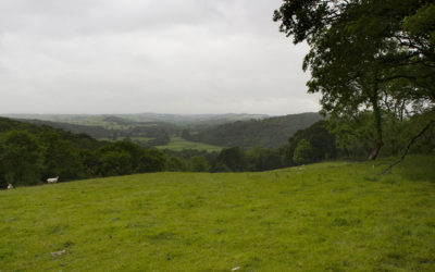 Survey reveals high levels of satisfaction with multi-award-winning Upstream Thinking project