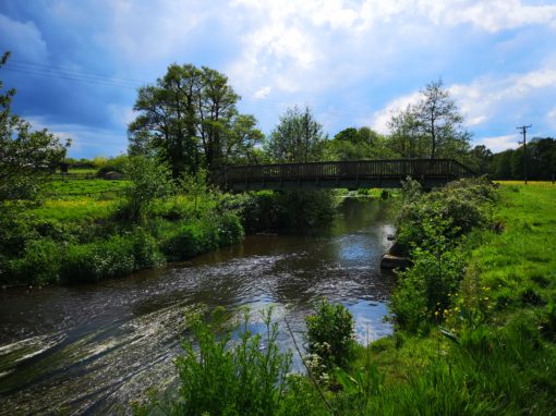 Climate Change and the River Culm