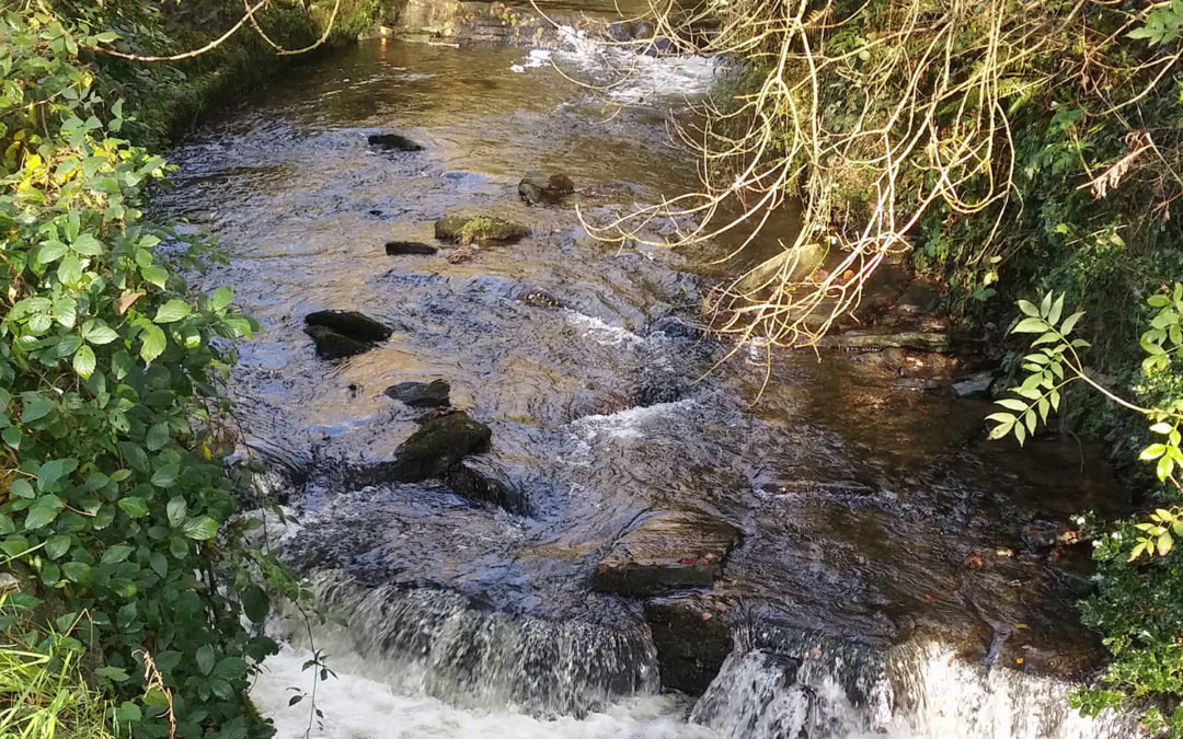 Town Council approves proposed weir improvements on River Camel
