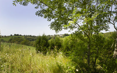 Meeting the challenge of a changing climate