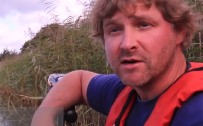 Supporting eels in Somerset