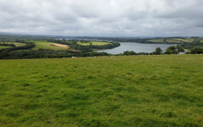 Farming for nature project proves popular