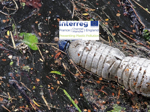 Preventing Plastic Pollution (PPP)
