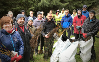 Thousands of trees planted to support water quality