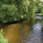 river fowey at respryn bridge with trees