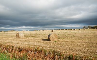 More than a million pounds to tackle climate change in Cornwall