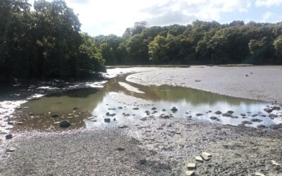 Be a Plymouth River Keeper