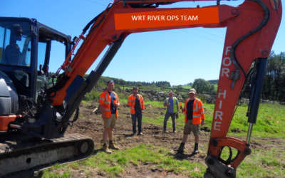 ‘Leaky walls’ work wonders on Walkhampton Common