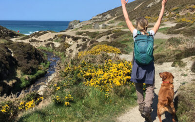 Cornwall charms our Upstream Thinking 3 “Devonshire dumpling”