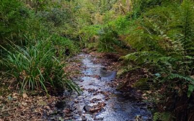 How CSI uncovered underwater info on World Rivers Day