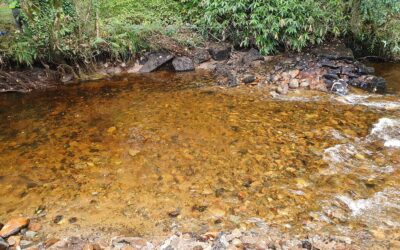 Keybridge weir removal a success