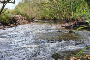 Successful restoration of Cornwall’s River Camel