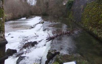 Strategic Exe Weirs – ‘Design Live’ sites for 2021