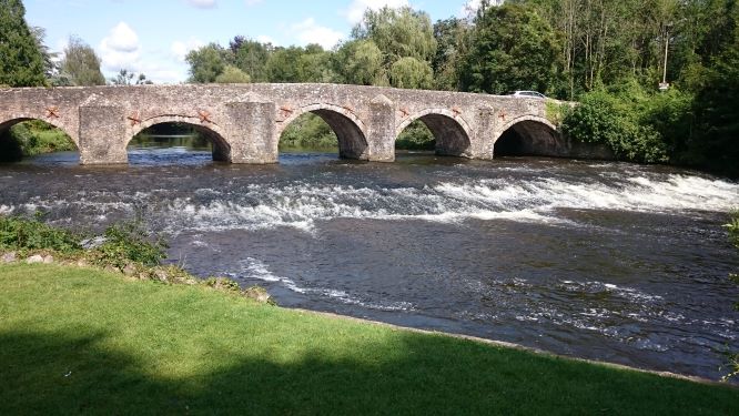 World Fish Migration Day