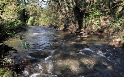 Green recovery to be supported through water company investment