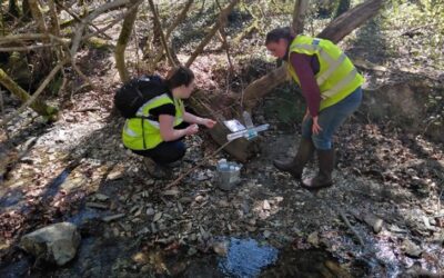 Day in the life of a river scientist in Plymouth.