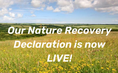 North Devon UNESCO Biosphere launches Nature Recovery Declaration and Plan