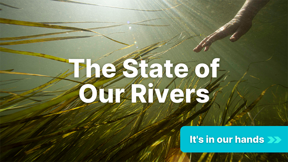 The State of Our Rivers Report