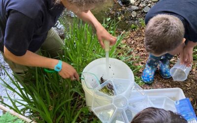 £7.1m win to bolster citizen science