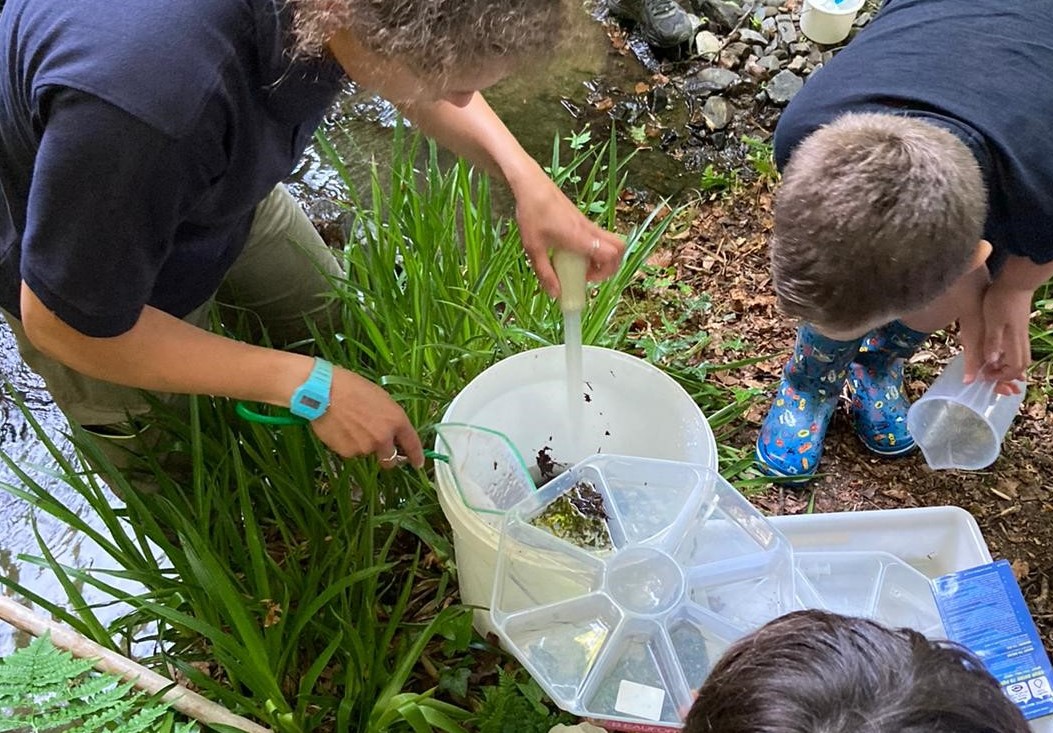 Westcountry citizen science leader showing kids invertebrates at riverbank