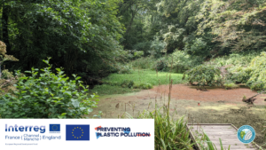 Budshead Pond Clear-up and Litter Pick @ Budshead Pond