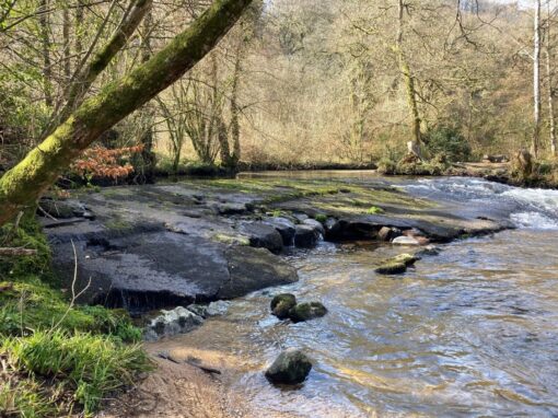 Parke Weir