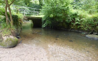 River ecology & water resources during dry weather