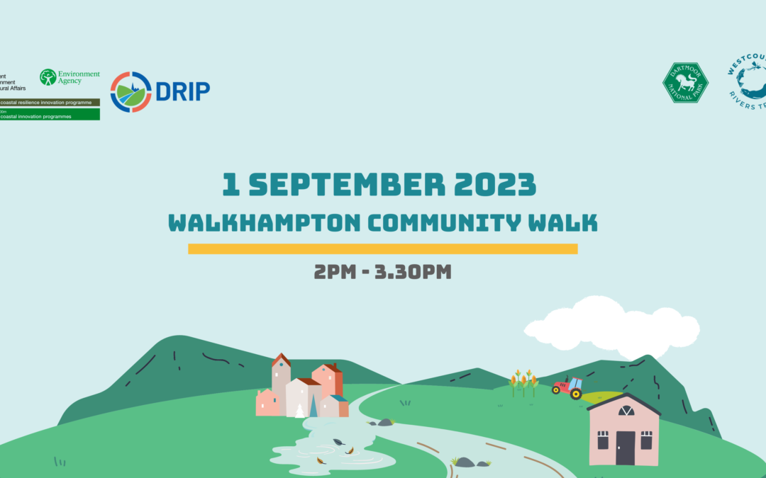 Walkhampton Community Walk