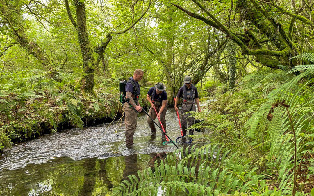 electric fishing in worthyvale river