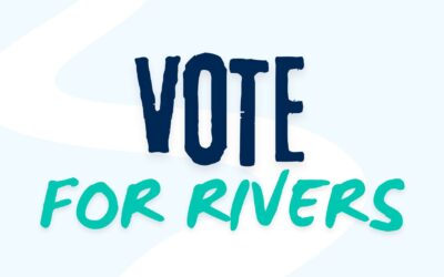 The CEO Blog 3 – Vote for Rivers