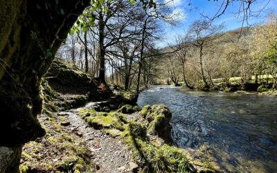 A Winter River Spectacle