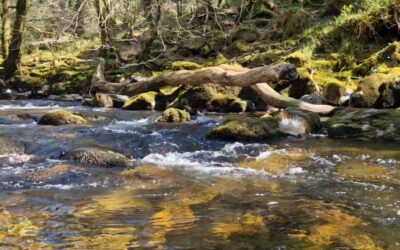 Love your River Art Competition