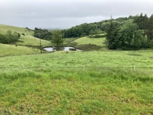 From source to sea: harnessing nature and communities for whole catchment innovation