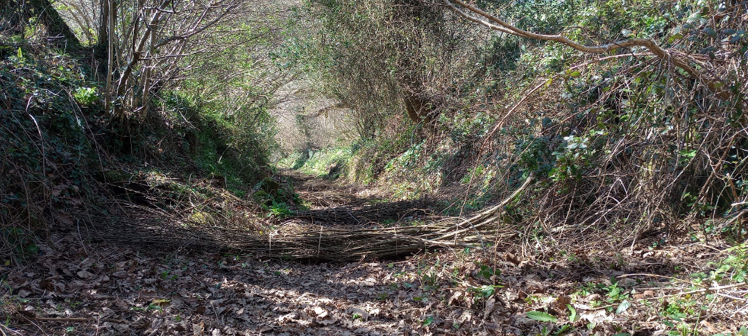 CLIMATE RESILIENT MEVAGISSEY