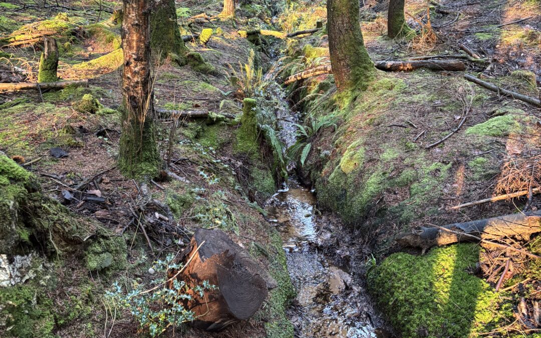 Climate Resilient Otter Catchment (CROC)
