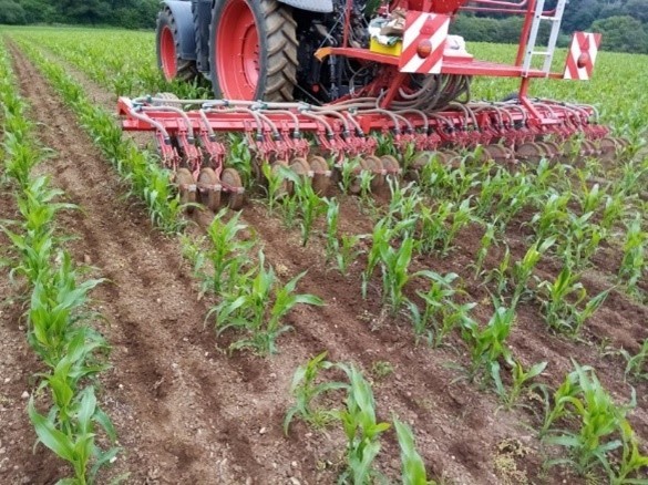 Water Restoration Fund