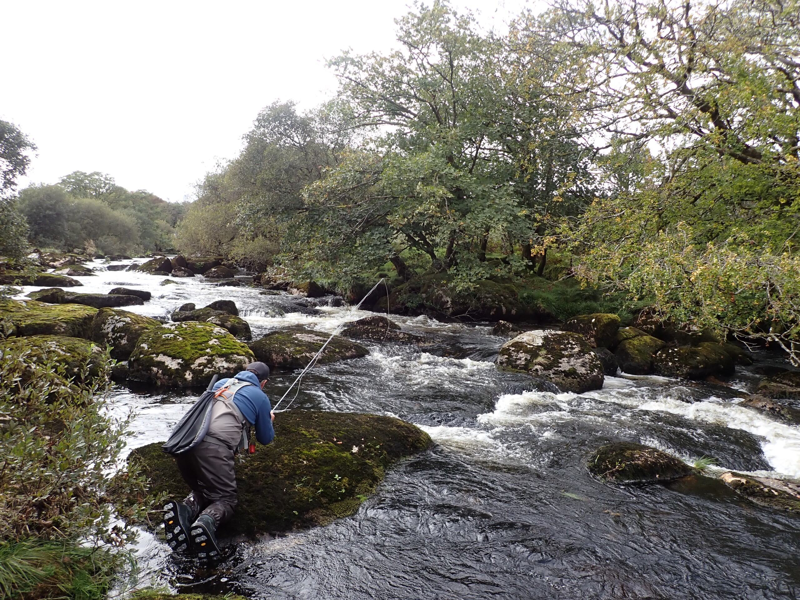 Fish Pass App update - Brown Trout Fishing