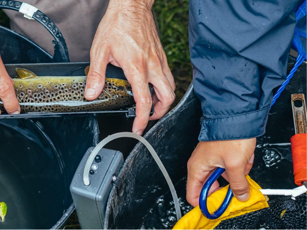 WRT Teams: Rivers and Fisheries