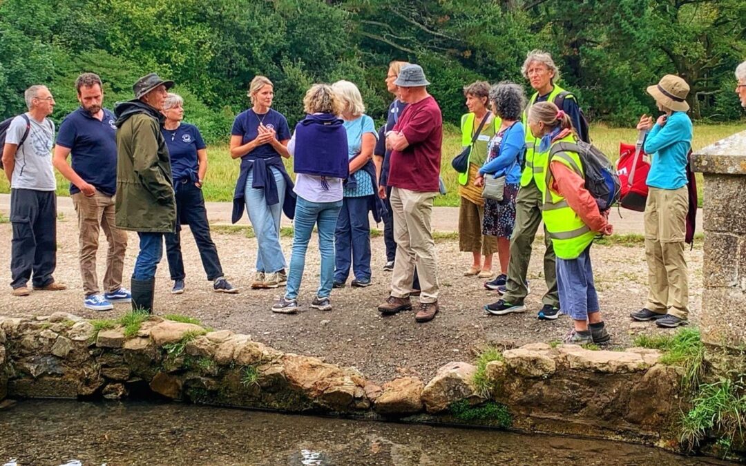 CaSTCo (Catchment Systems Thinking Cooperative)