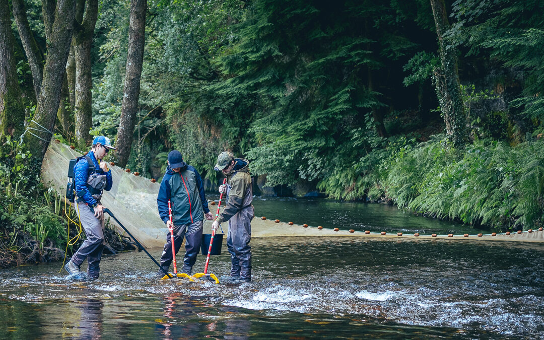 2025 Electrofishing season