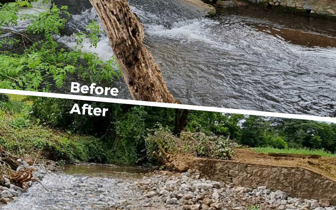 Weir bitter off without it….🍋